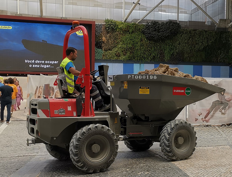Dumper Giratorio 4500Kg image 3