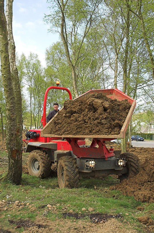 Dumper Giratorio 6000Kg  image 3